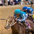 horses to bet on for kentucky derby